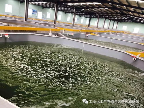 句句精华 陈海龙教你认识什么是工厂化水产养殖系统