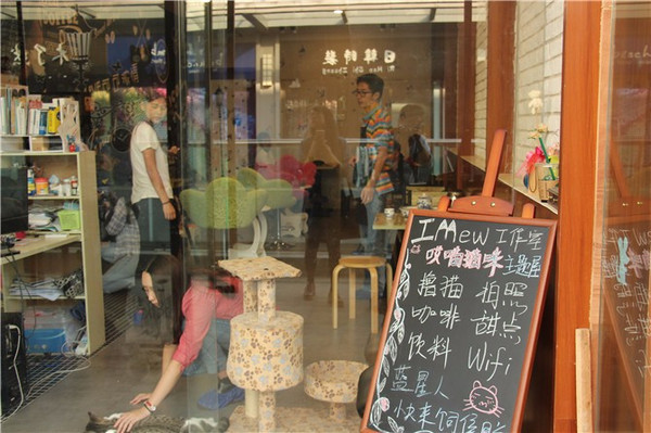 一家被猫咪占领的咖啡店,南昌爱喵族速来围观-吃喝